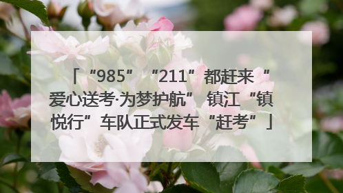 “985”“211”都赶来“爱心送考·为梦护航” 镇江“镇悦行”车队正式发车“赶考”