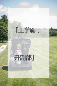 王学勤，升副部