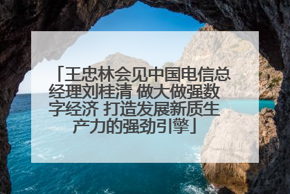 王忠林会见中国电信总经理刘桂清 做大做强数字经济 打造发展新质生产力的强劲引擎