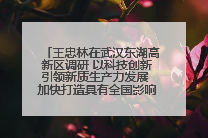 王忠林在武汉东湖高新区调研 以科技创新引领新质生产力发展 加快打造具有全国影响力的科技创新高地
