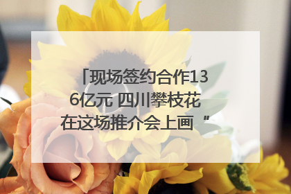 现场签约合作136亿元 四川攀枝花在这场推介会上画“图谱”列“清单”