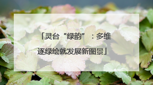 灵台“绿韵”：多维逐绿绘就发展新图景