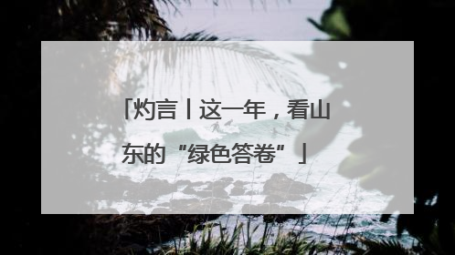 灼言丨这一年，看山东的“绿色答卷”