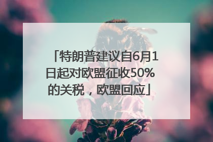 特朗普建议自6月1日起对欧盟征收50%的关税，欧盟回应