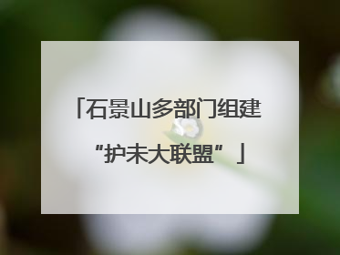 石景山多部门组建“护未大联盟”
