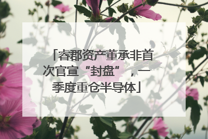 睿郡资产董承非首次官宣“封盘”，一季度重仓半导体