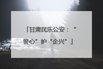 甘肃民乐公安：“警心”护“企兴”