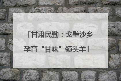 甘肃民勤：戈壁沙乡孕育“甘味”领头羊