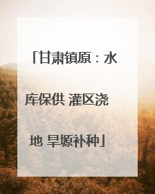 甘肃镇原：水库保供 灌区浇地 旱塬补种