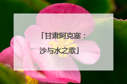 甘肃阿克塞：沙与水之歌