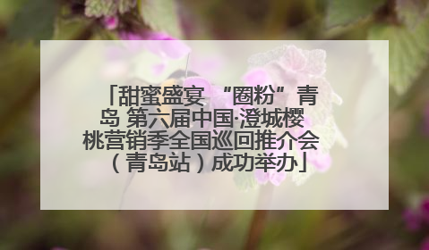 甜蜜盛宴 “圈粉”青岛 第六届中国·澄城樱桃营销季全国巡回推介会（青岛站）成功举办