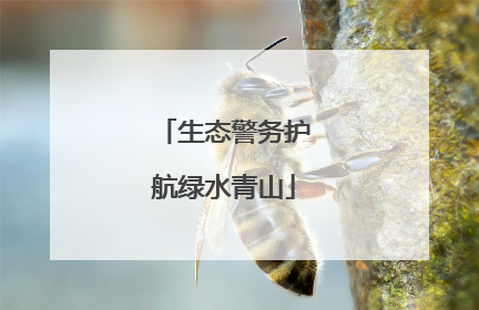 生态警务护航绿水青山