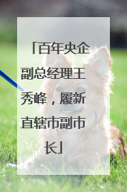 百年央企副总经理王秀峰，履新直辖市副市长