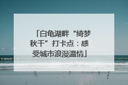 白龟湖畔“绮梦秋千”打卡点：感受城市浪漫温情