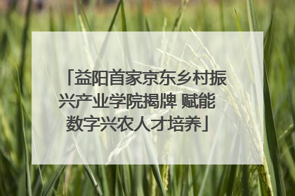益阳首家京东乡村振兴产业学院揭牌 赋能数字兴农人才培养