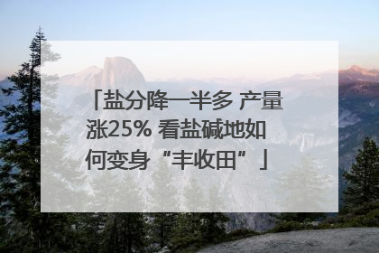 盐分降一半多 产量涨25% 看盐碱地如何变身“丰收田”