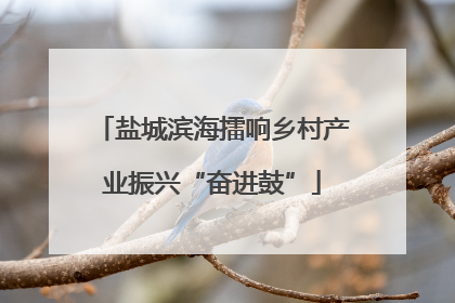 盐城滨海擂响乡村产业振兴“奋进鼓”