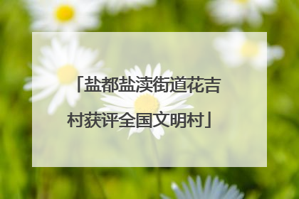 盐都盐渎街道花吉村获评全国文明村