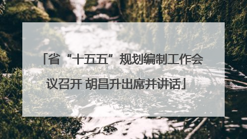 省“十五五”规划编制工作会议召开 胡昌升出席并讲话
