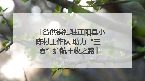 省供销社驻正阳县小陈村工作队 助力“三夏”护航丰收之路