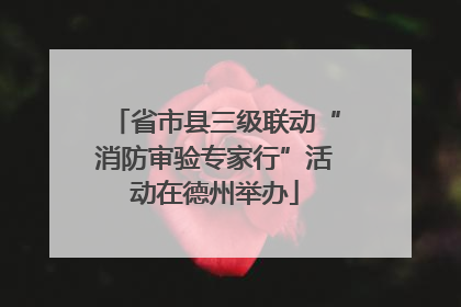 省市县三级联动“消防审验专家行”活动在德州举办