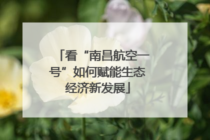 看“南昌航空一号”如何赋能生态经济新发展