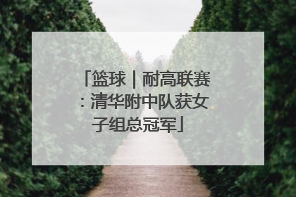 篮球｜耐高联赛：清华附中队获女子组总冠军