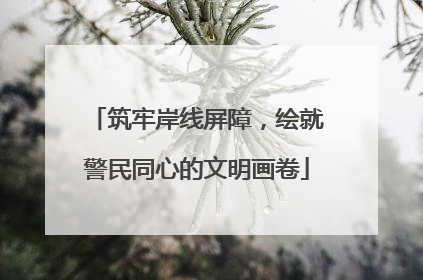 筑牢岸线屏障，绘就警民同心的文明画卷