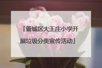 管城区大王庄小学开展垃圾分类宣传活动