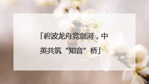 碧波龙舟竞剑河，中英共筑“知音”桥