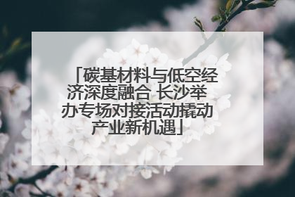 碳基材料与低空经济深度融合 长沙举办专场对接活动撬动产业新机遇