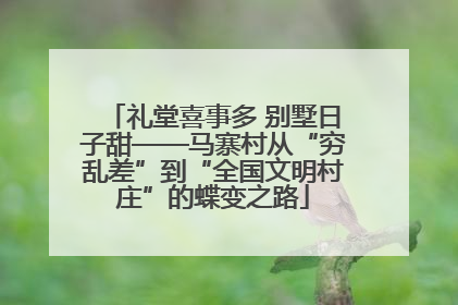 礼堂喜事多 别墅日子甜——马寨村从“穷乱差”到“全国文明村庄”的蝶变之路