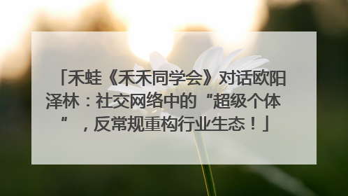 禾蛙《禾禾同学会》对话欧阳泽林：社交网络中的“超级个体”，反常规重构行业生态！