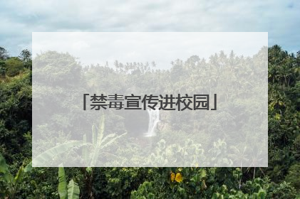 禁毒宣传进校园