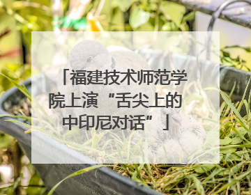 福建技术师范学院上演“舌尖上的中印尼对话”