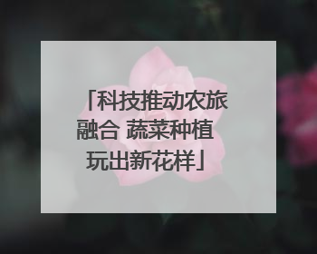 科技推动农旅融合 蔬菜种植玩出新花样