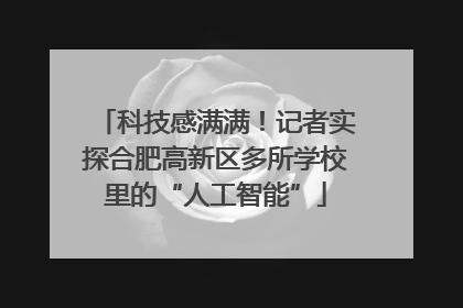 科技感满满！记者实探合肥高新区多所学校里的“人工智能”