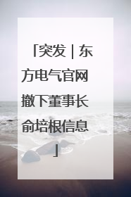 突发｜东方电气官网撤下董事长俞培根信息
