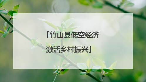 竹山县低空经济激活乡村振兴