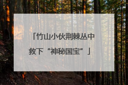 竹山小伙荆棘丛中救下“神秘国宝”