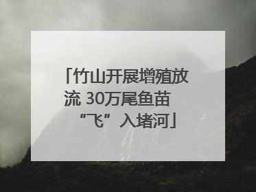 竹山开展增殖放流 30万尾鱼苗“飞”入堵河