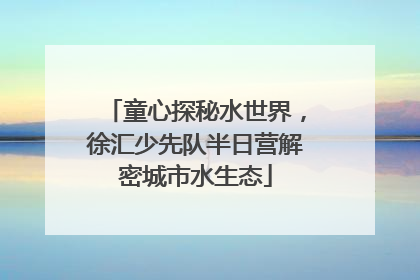 童心探秘水世界，徐汇少先队半日营解密城市水生态