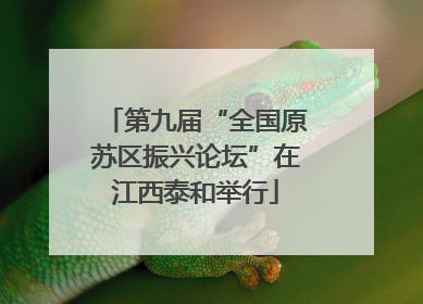第九届“全国原苏区振兴论坛”在江西泰和举行