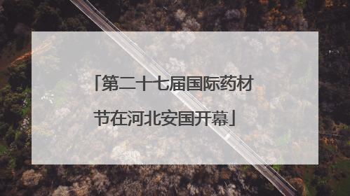 第二十七届国际药材节在河北安国开幕