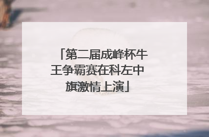 第二届成峰杯牛王争霸赛在科左中旗激情上演