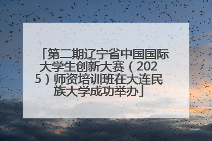 第二期辽宁省中国国际大学生创新大赛（2025）师资培训班在大连民族大学成功举办