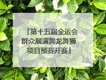 第十五届全运会群众展演舞龙舞狮项目预赛开赛