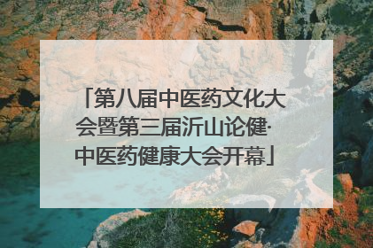 第八届中医药文化大会暨第三届沂山论健·中医药健康大会开幕