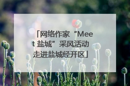 网络作家“Meet 盐城”采风活动走进盐城经开区