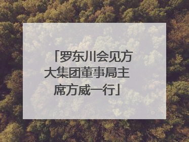 罗东川会见方大集团董事局主席方威一行